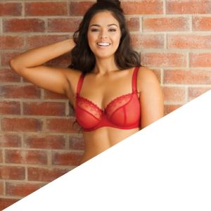 How to choose the correct nursing bra  Lumingerie bras and underwear for  big busts