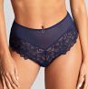 Panache Allure Deep Brief Navy-thumb  36-46 10764-NAVY