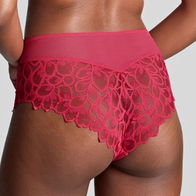 Panache Allure Deep Brief Raspberry  36-46 10764-RAY