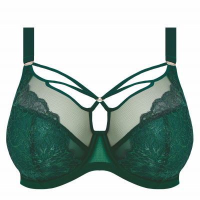 Elomi Brianna UW Plunge Bra Rainforest Underwired, full cup plunge bra. 70-100, F-O EL8080-RAT