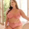 Sculptresse by Panache Dream Full Brief Rose Pink-thumb Full Brief L/40 - 5XL/50 10804-ROP