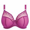 Elomi Matilda UW Plunge Bra Hollyhock Daisy-thumb Underwired, full cup plunge bra. 70-100, E-O EL8900-HOC