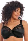 Elomi Morgan Stretch Banded Bra - Black - An Intimate Affaire