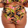 Elomi Tiger Valley Adjustable Bikini Brief Black-thumb High waist bikini briefs. 38-52 ES802373-BLK