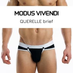 Modus Vivendi Querelle brief